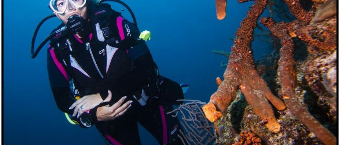 Taucherin beim tauchen Curacao Divers Deutsche Tauchschule Tauchen Tauchurlaub Urlaub entspannen Unterwasser