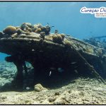 kleines Wrack Tugboat Curacao Divers Deutsche Tauchschule Tauchen Tauchurlaub Urlaub entspannen Unterwasser Non Limit Freiheit selbstständig Karibik