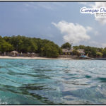 Playa Kalky wird der Strand in Westpunt genannt und der Tauchplatz nennt sich Alice in wonderland aus dem Tauchreiseführer von Curacao auf Amazon zu erwerben