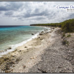 Der lange Korallenstrand mit dem namen Playa Largu in San Juan Curacao. Aus dem Tauchreiseführer Curacao